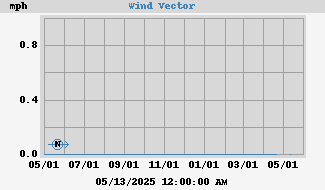 Wind Vector